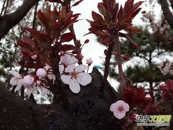 rѩĹ@