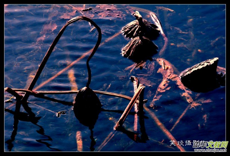 ݺɪqи߹(ji)ڡЦzӰƷ