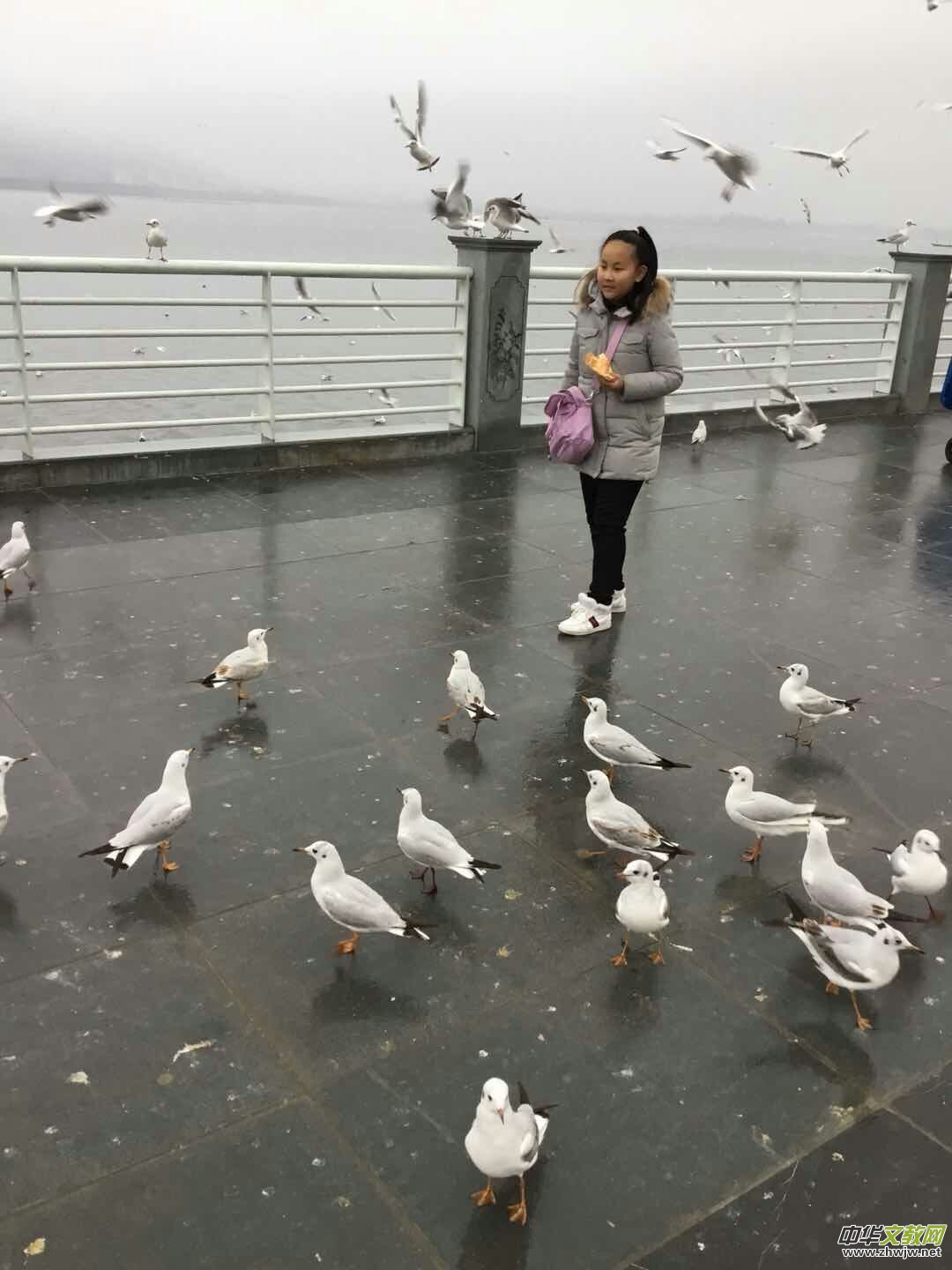 ֮ãRtt