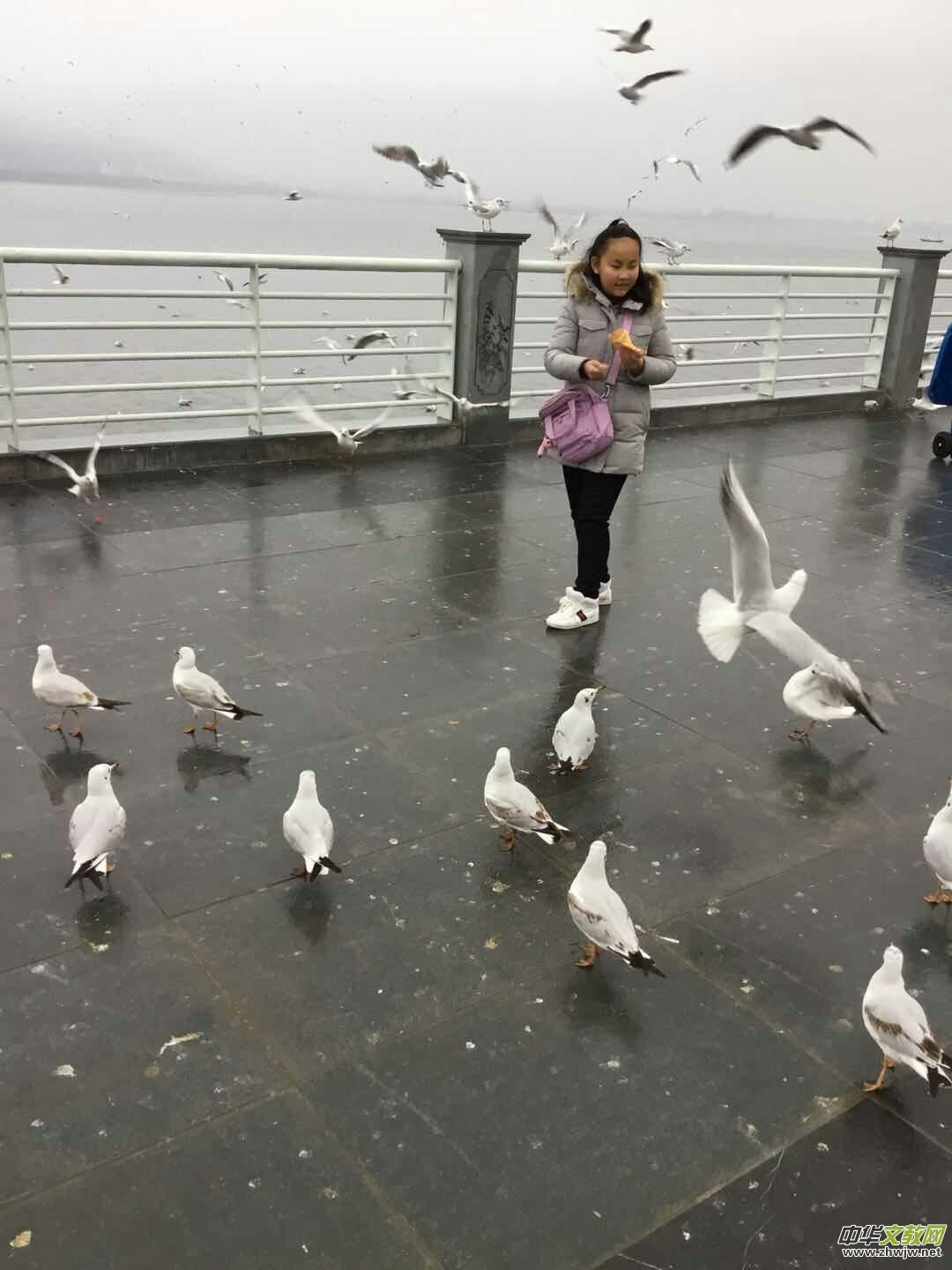֮ãRtt