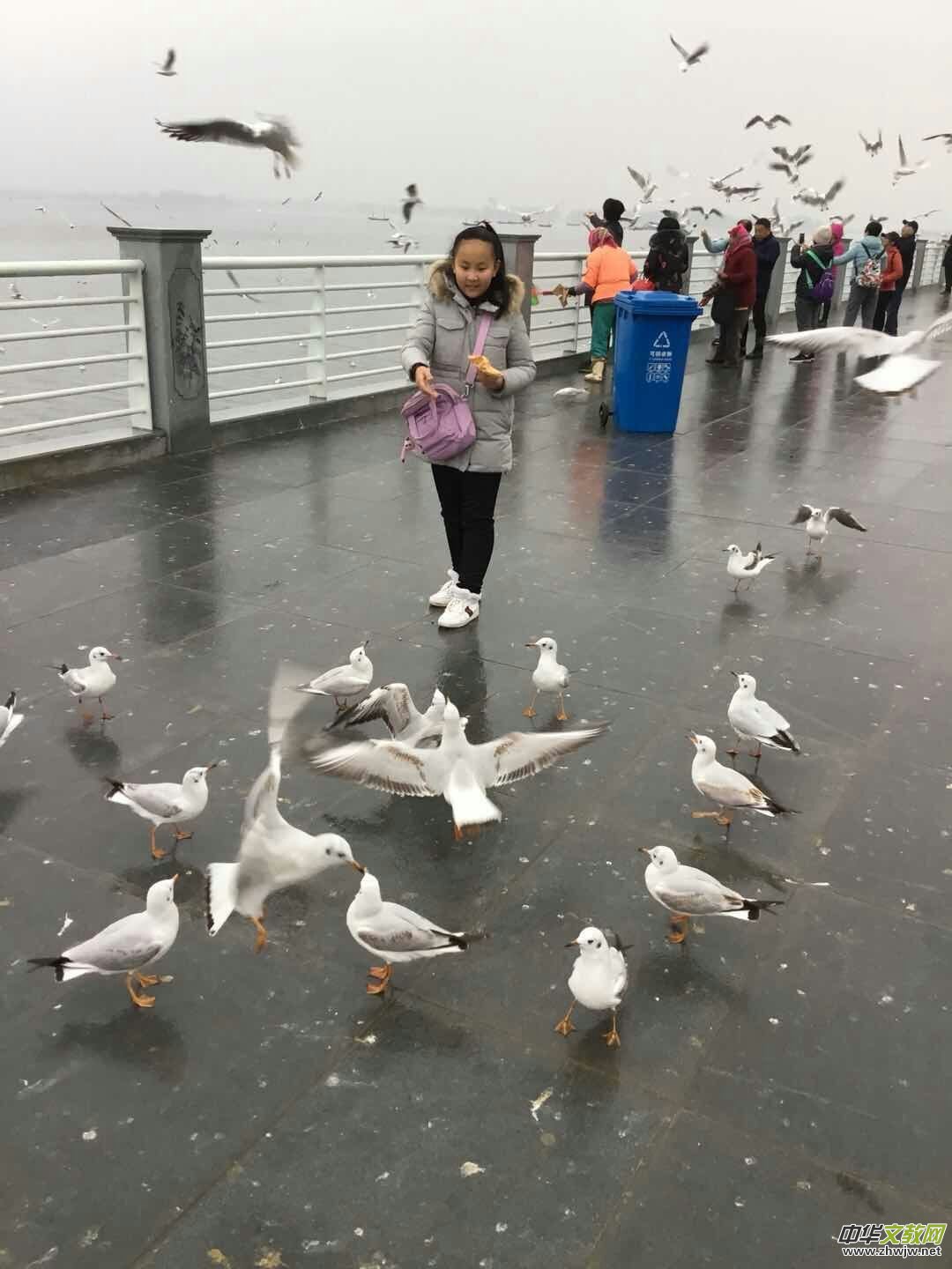 ֮ãRtt