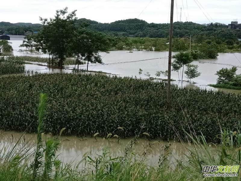 挦ʮ겻(zi)d铌U@