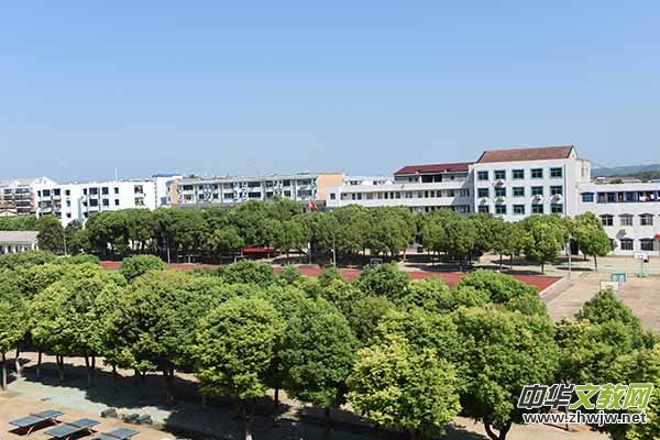 關(guān)于高中思想政治課中經(jīng)濟思想的幾點思考