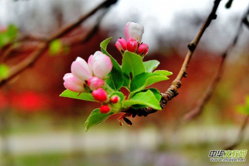 O܊zӰ:֮FԊ~ĺĻ