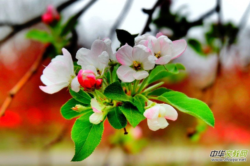 O܊zӰ:֮FԊ~ĺĻ