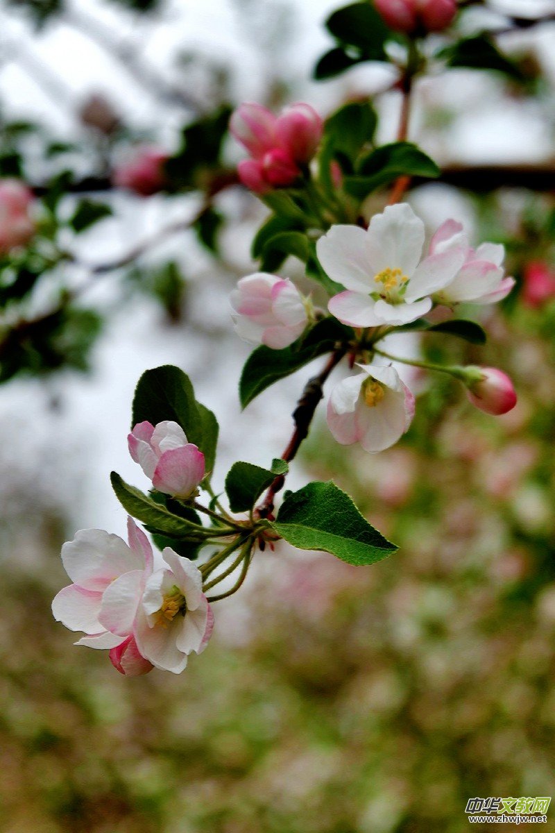 O܊zӰ:֮FԊ~ĺĻ