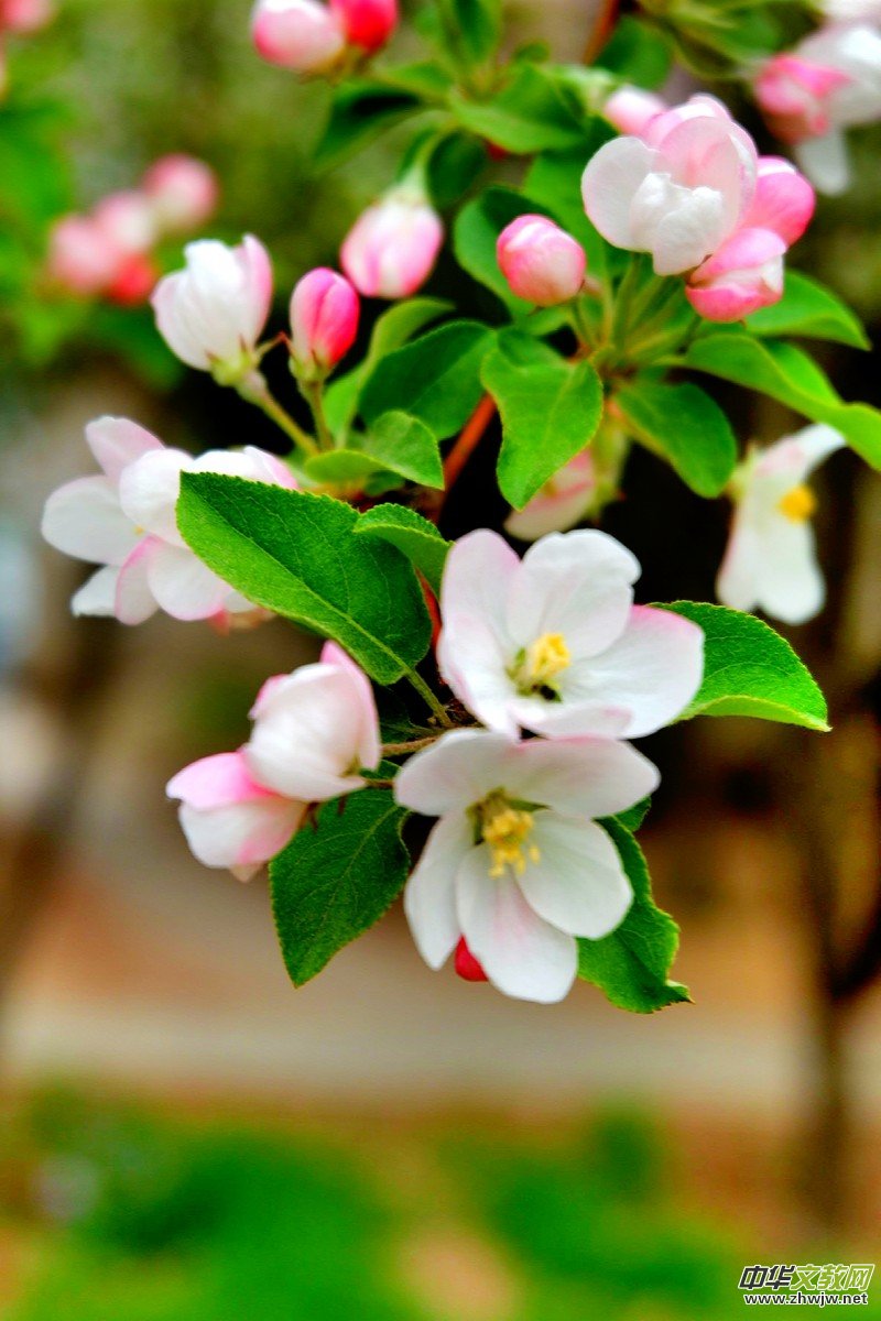 O܊zӰ:֮FԊ~ĺĻ