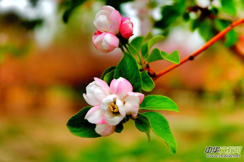 O܊zӰ:֮FԊ~ĺĻ