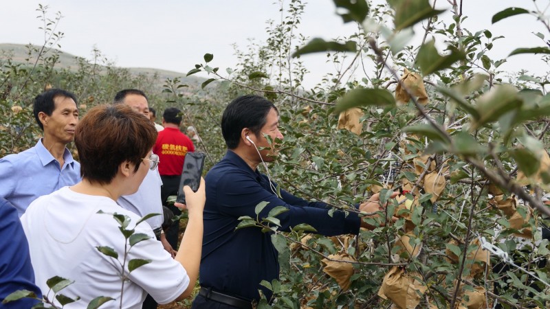 2021煙臺(tái)碳?xì)浜朔驶赜^摩交流會(huì)在海陽(yáng)市召開 2021煙臺(tái)碳?xì)浜朔驶赜^摩交流會(huì)在海陽(yáng)市召開