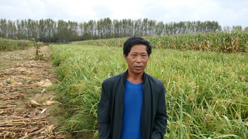 2021煙臺(tái)碳?xì)浜朔驶赜^摩交流會(huì)在海陽(yáng)市召開 2021煙臺(tái)碳?xì)浜朔驶赜^摩交流會(huì)在海陽(yáng)市召開