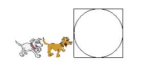 B(yng)СW(xu)W(xu)(x)(sh)W(xu)(yng)}dȤĲ