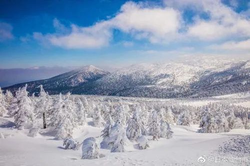 雪的記憶 雪的記憶