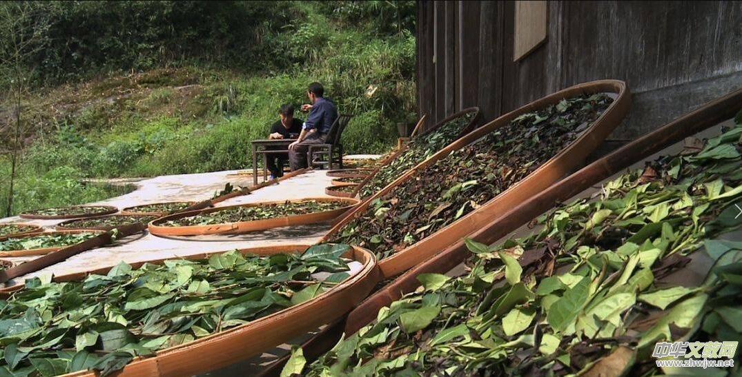 華祥龍茶業(yè)創(chuàng)始人——中國茶癡董紹林 華祥龍茶業(yè)創(chuàng)始人——中國茶癡董紹林