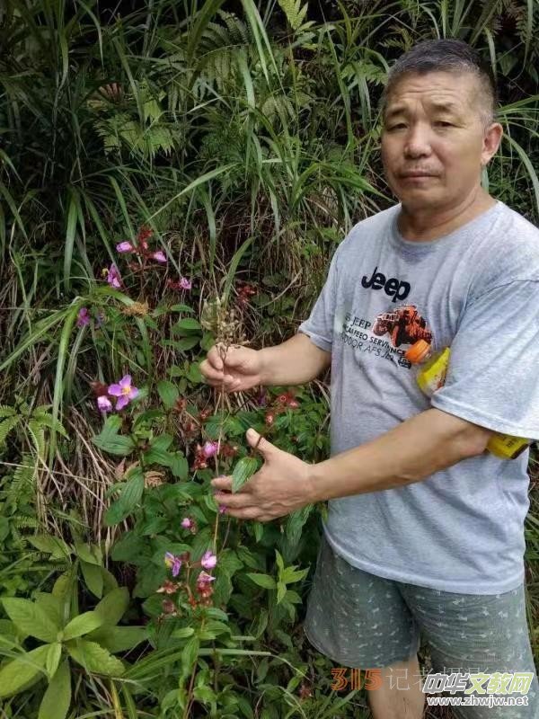 高級反射蜂療專家范景良 高級反射蜂療專家范景良