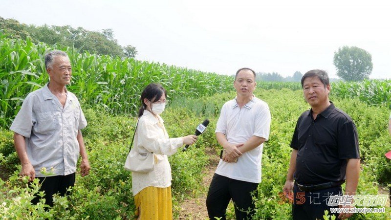 碳?xì)淇萍己朔始夹g(shù)助力巨鹿縣金銀花種植戶零農(nóng)殘喜茯豐收 碳?xì)淇萍己朔始夹g(shù)助力巨鹿縣金銀花種植戶零農(nóng)殘喜茯豐收