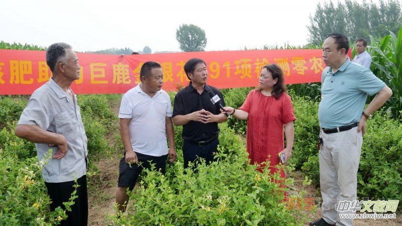 碳?xì)淇萍己朔始夹g(shù)助力巨鹿縣金銀花種植戶零農(nóng)殘喜茯豐收 碳?xì)淇萍己朔始夹g(shù)助力巨鹿縣金銀花種植戶零農(nóng)殘喜茯豐收