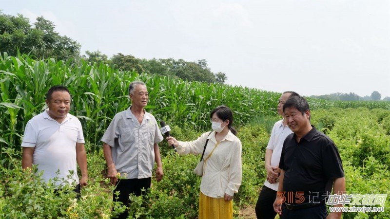 碳?xì)淇萍己朔始夹g(shù)助力巨鹿縣金銀花種植戶零農(nóng)殘喜茯豐收 碳?xì)淇萍己朔始夹g(shù)助力巨鹿縣金銀花種植戶零農(nóng)殘喜茯豐收