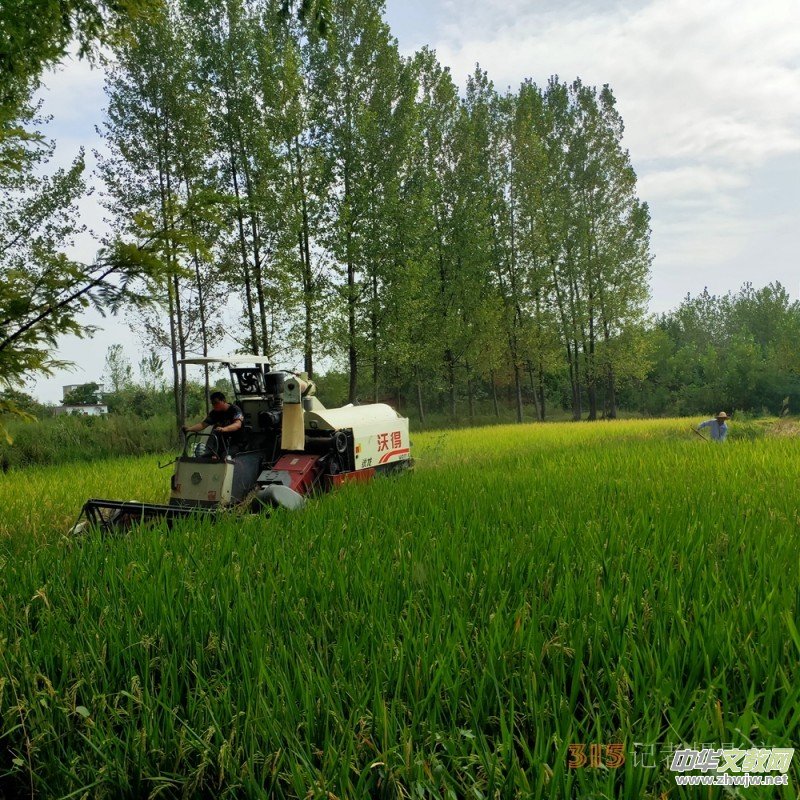 沉沙詩圖:在一條光的小路走到黑 沉沙詩圖:在一條光的小路走到黑