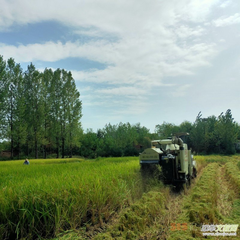 沉沙詩圖:在一條光的小路走到黑 沉沙詩圖:在一條光的小路走到黑