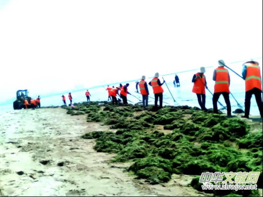 周習(xí)紀(jì)實(shí)文學(xué)《碧海金灘北戴河》出版發(fā)行 周習(xí)紀(jì)實(shí)文學(xué)《碧海金灘北戴河》出版發(fā)行