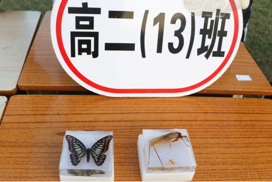 柴時鐘: 創(chuàng)新求進 科技強國 柴時鐘: 創(chuàng)新求進 科技強國