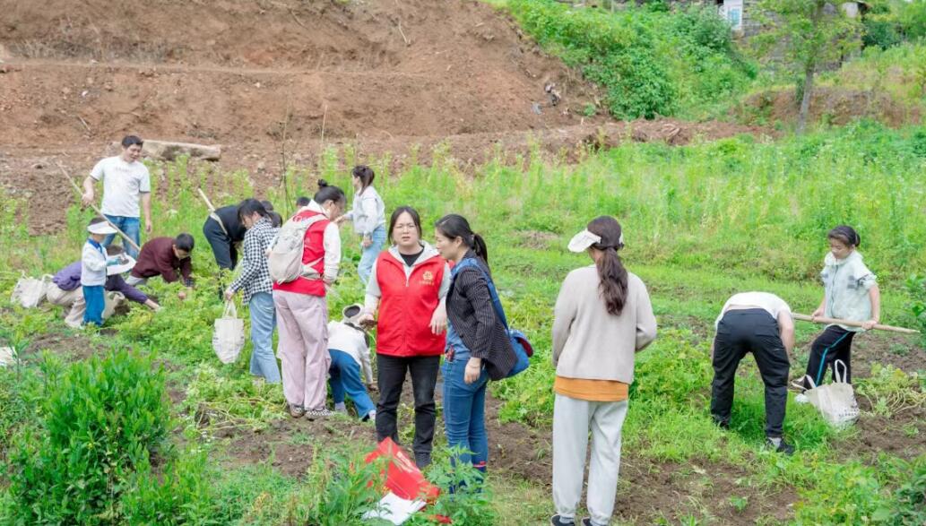 土豆豐收情,喜悅暖民心——親子共繪六一溫馨畫(huà)卷 土豆豐收情,喜悅暖民心——親子共繪六一溫馨畫(huà)卷