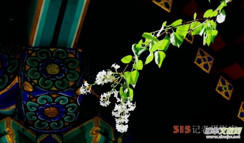 笑琰:帶領(lǐng)樂訂坊在多元領(lǐng)域書寫傳奇的逐光者 笑琰:帶領(lǐng)樂訂坊在多元領(lǐng)域書寫傳奇的逐光者