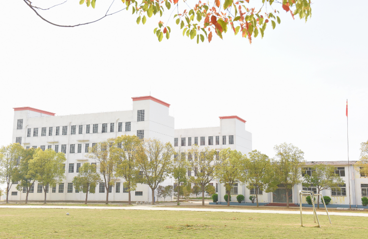 優(yōu)化校園管理 提升教學(xué)質(zhì)量 優(yōu)化校園管理 提升教學(xué)質(zhì)量
